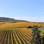 게스트하우스 Gaestehaus Zum Wolffenturm Lehrensteinsfeld
