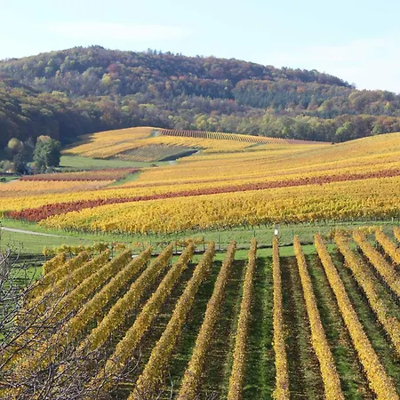 Gaestehaus Zum Wolffenturm Lehrensteinsfeld