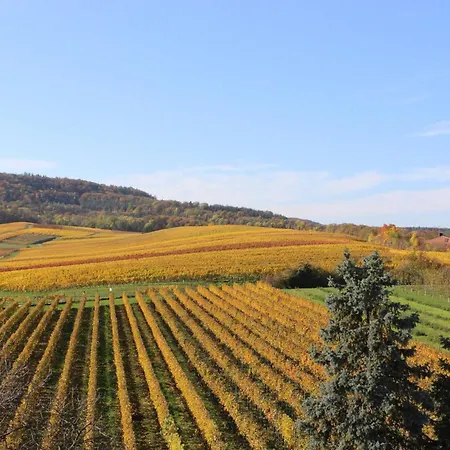 Pensjonat Gaestehaus Zum Wolffenturm Lehrensteinsfeld