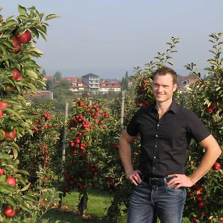 Gaestehaus Zum Wolffenturm 3*