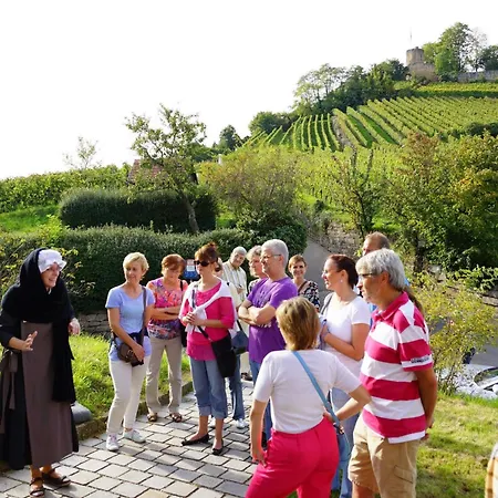Gaestehaus Zum Wolffenturm Pensjonat